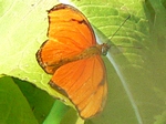 22 juli 2009
